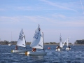 Opti- und Jollen-Race 2025