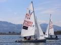 Opti- und Jollen-Race 2025