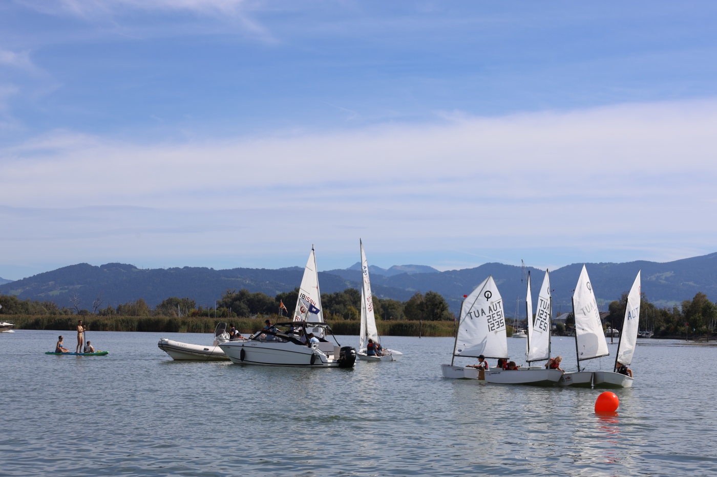 Opti-Race-240