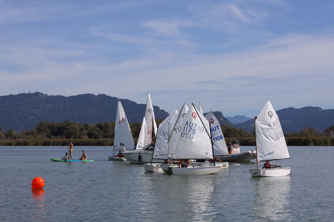 Opti-Race-245