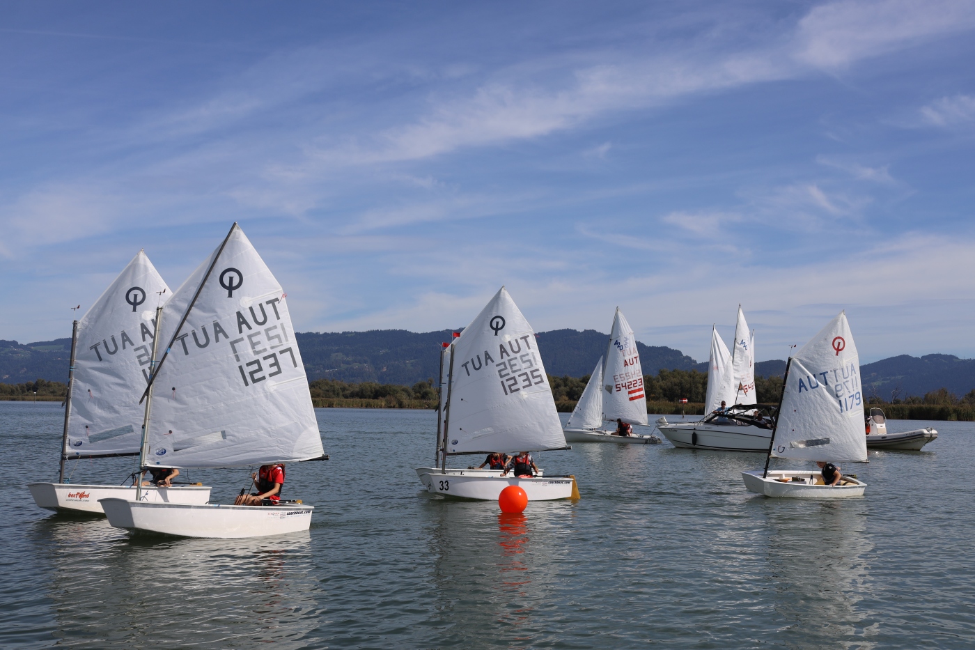 Opti-Race-247