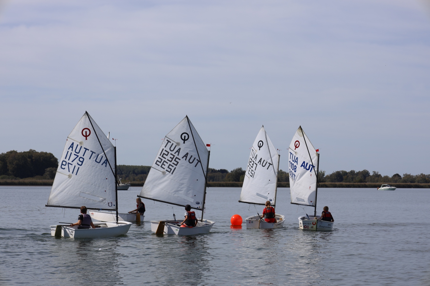 Opti-Race-256