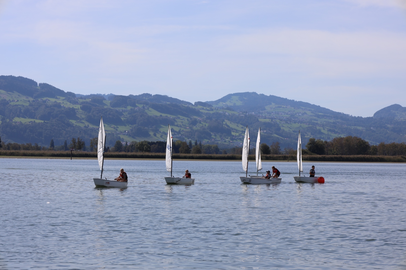 Opti-Race-259