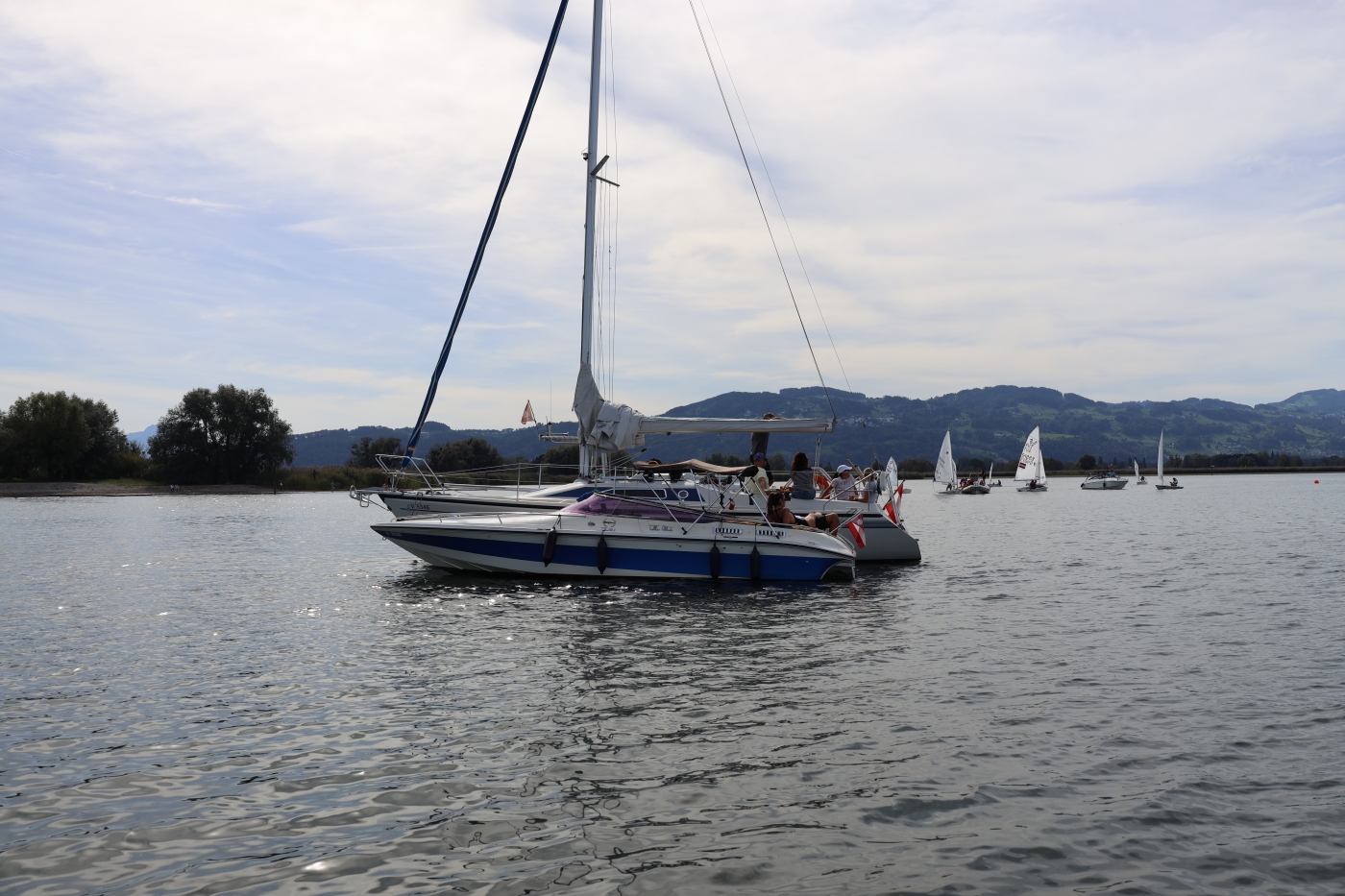 Opti-Race-284