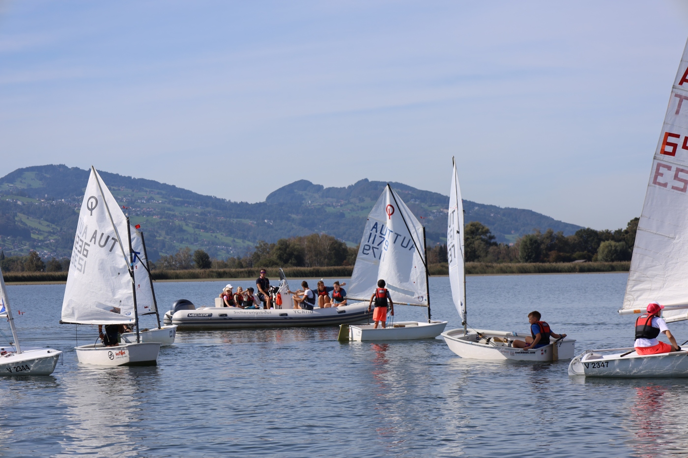 Opti-Race-60