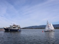 Opti-Race-102