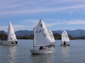 Opti-Race-129