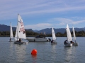 Opti-Race-132