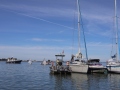Opti-Race-145