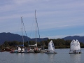 Opti-Race-164