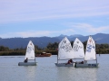 Opti-Race-165