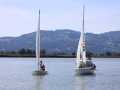 Opti-Race-175