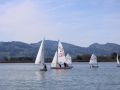 Opti-Race-180