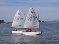 Opti-Race-193