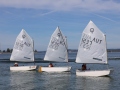 Opti-Race-194