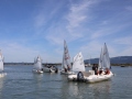 Opti-Race-197
