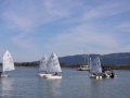 Opti-Race-199