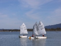 Opti-Race-200
