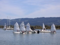 Opti-Race-201