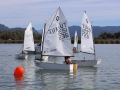 Opti-Race-202