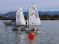 Opti-Race-203