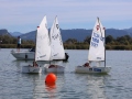 Opti-Race-204