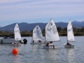 Opti-Race-205