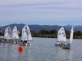 Opti-Race-206