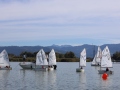 Opti-Race-207