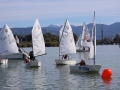 Opti-Race-208