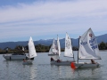 Opti-Race-209