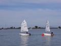 Opti-Race-216