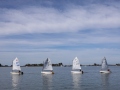 Opti-Race-217