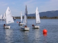 Opti-Race-219