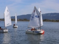 Opti-Race-220