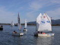 Opti-Race-221