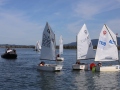 Opti-Race-222