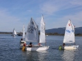 Opti-Race-224