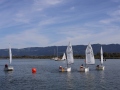 Opti-Race-226