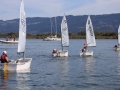 Opti-Race-229