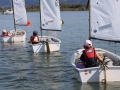 Opti-Race-231