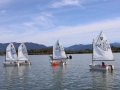 Opti-Race-232