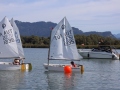 Opti-Race-233