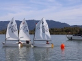 Opti-Race-234