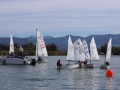 Opti-Race-239