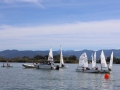 Opti-Race-240