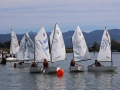 Opti-Race-241