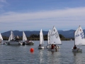 Opti-Race-242