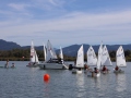 Opti-Race-244