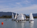Opti-Race-245